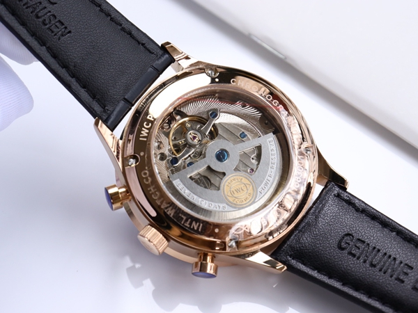 アイ・ダブリュー・シー着用イメージ